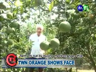 Twn Orange Shows Face