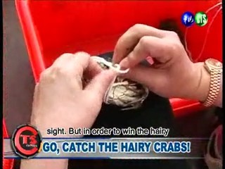 Go, Catch the Hairy Crabs!