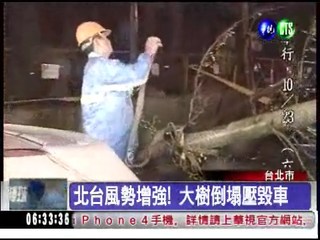 北台風勢增強! 大樹倒塌壓毀車