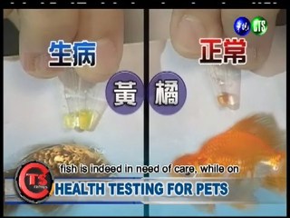 Health Testing for Pets
