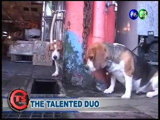 The Talented Duo