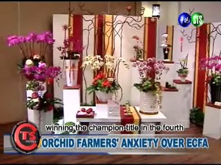 Orchid Farmers' Anxiety Over Ecfa