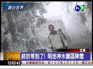 6年來首場雪! 太平山成銀白世界