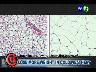 LOSE MORE WEIGHT IN COLD WEATHER?