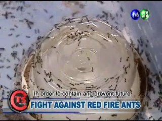 FIGHT AGAINST RED FIRE ANTS