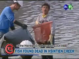 FISH FOUND DEAD IN HSINTIEN CREEK