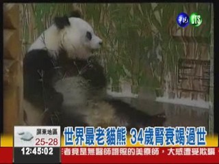 世界最老貓熊 "明明"34歲過世