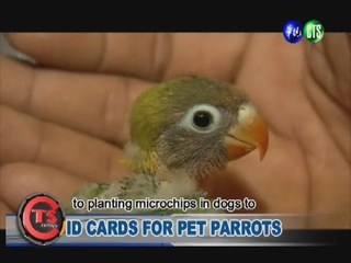 ID CARDS FOR PET PARROTS