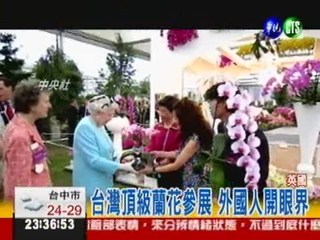 台灣蘭花稱霸國際 英女王驚豔