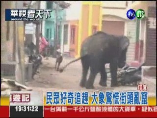 印度大象闖市區 踩死1人釀悲劇!