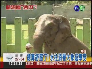 熱到抓狂! "壽山"大象朝遊客噴水