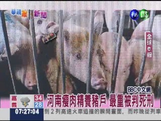 河南瘦肉精養豬戶 最重被判死刑
