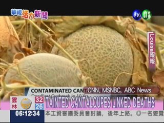 TAINTED CANTALOUPES LINKED TO DEATHS
