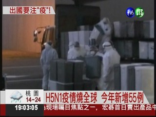 出國注意! 全球頻傳H5N1病例