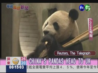 CHINA'S PANDAS HEAD TO UK