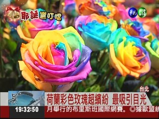 "花現台北"登場 彩色玫瑰吸睛