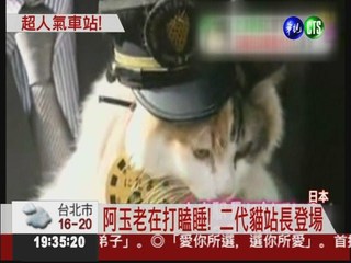 貓咪當站長 日和歌山車站人氣旺!