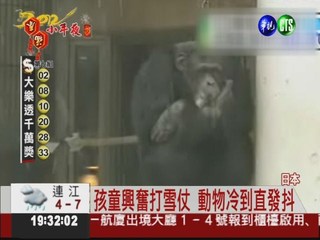 東京首場雪報到 北海道-30℃冷爆!
