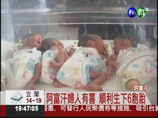 3子加3女! 阿富汗婦人生6胞胎