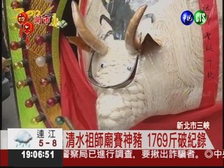 三峽祖師廟賽神豬 1769斤破紀錄