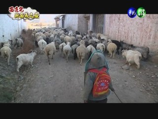 新西藏之旅! 6歲牧羊人學漢語