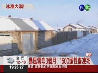 蒙古-51.9度 牲畜凍死.屋子凍裂