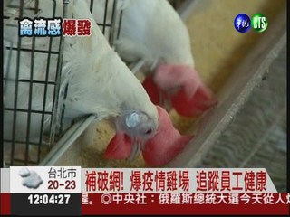 H5N2原屬低病原 雞隻驗出高病原