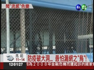 追蹤H5N2源頭 就在台南六甲!?