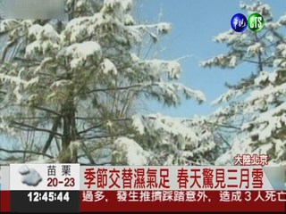 北京"三月雪"! 空氣品質意外好轉