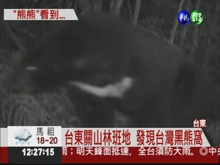 保育有成! 發現台灣黑熊的窩