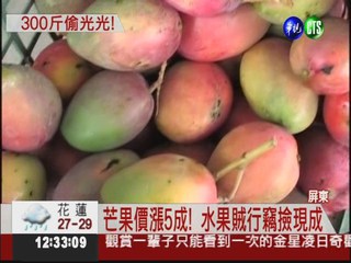 產量少價格好 300斤芒果被偷光!