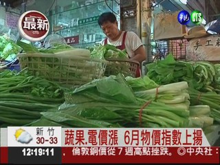 蔬果.電價漲 6月物價指數上揚