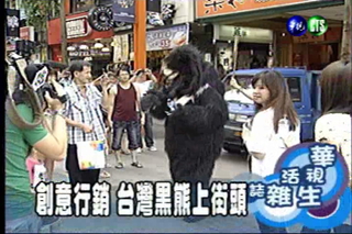 創意行銷 台灣黑熊上街頭