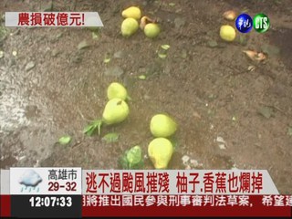 天秤農損逾1.1億 台東農民最慘!