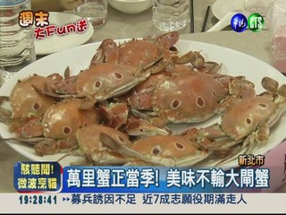 新北萬里螃蟹季 3000斤俗俗賣