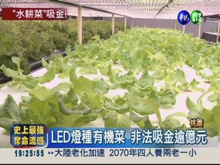 LED燈種菜噱頭 非法吸金逾億元