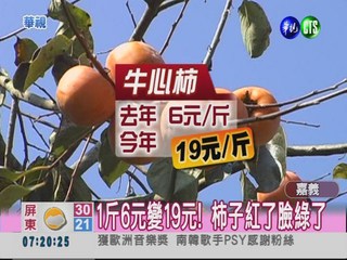 產量剩2成! 牛心柿價格飆漲3倍