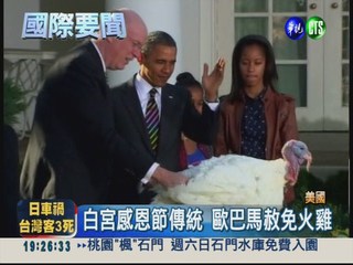 美慶祝感恩節 歐巴馬赦免2火雞