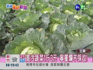 高冷蔬菜1斤3元 寧擺爛不採收!
