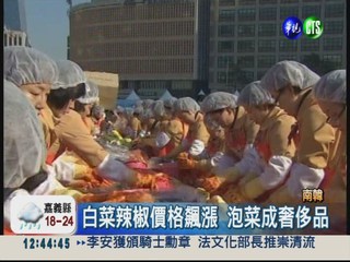 南韓千人醃泡菜 6萬顆濟貧