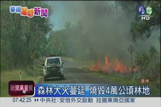 澳洲140起森林火 燒毀28民宅!