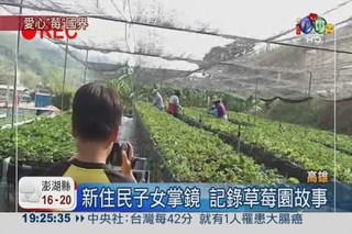 國小童義賣草莓 助越南蓋水井
