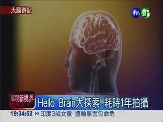 Hello Brain! 挖掘大腦神奇天賦