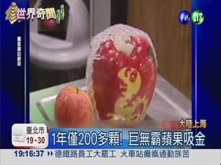 超大蘋果1公斤重 1顆近萬元!