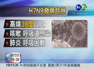大陸禽流感傳人! H7N9病毒奪2命