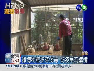 H7N9威脅大! 雞博物館遊客不減