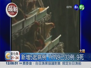 H7N9疫情 大陸33人染9人死亡!