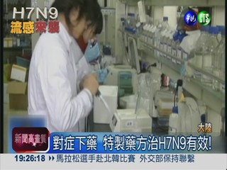 防H7N9擴大! 7個月內疫苗上市