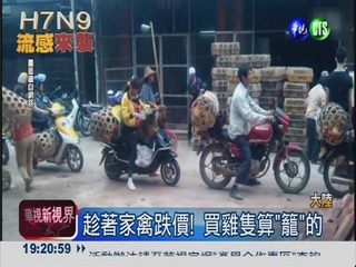 大陸H7N9升溫 已確診62例14死!