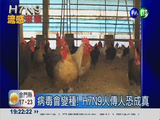 台灣9人疑染H7N9 4例未排除